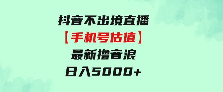 抖音不出境直播【手机号估值】最新撸音浪，日入5000+，简单易学-十一网创