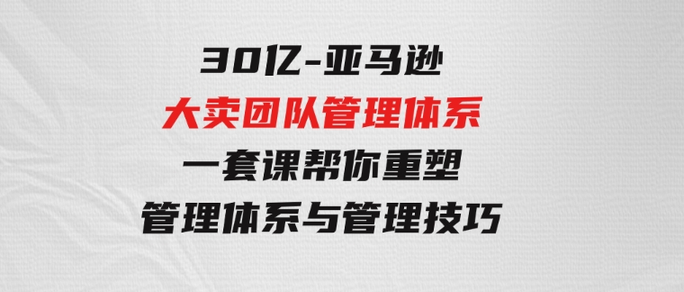 30亿-亚马逊大卖团队管理体系，一套课帮你重塑管理体系与管理技巧-十一网创