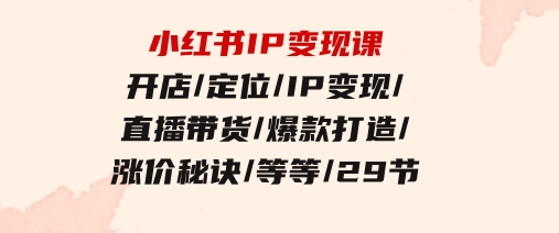 小红书IP变现课：开店/定位/IP变现/直播带货/爆款打造/涨价秘诀/等等/29节-十一网创