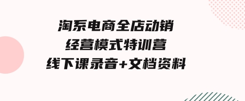 淘系电商全店动销经营模式特训营，线下课录音+文档资料-十一网创