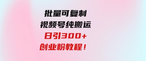 批量可复制！视频号纯搬运日引300+创业粉教程！-十一网创