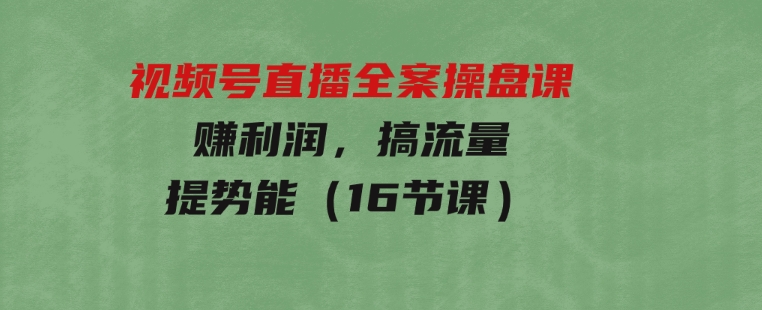 视频号直播全案操盘课，赚利润，搞流量，提势能（16节课）-十一网创