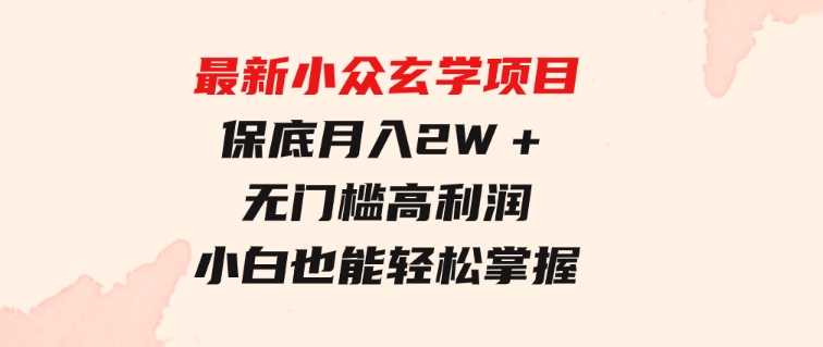 最新小众玄学项目，保底月入2W＋无门槛高利润，小白也能轻松掌握-十一网创