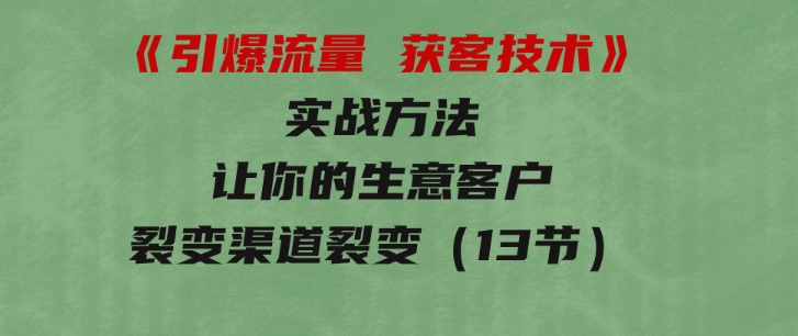 《引爆流量获客技术》实战方法，让你的生意客户裂变渠道裂变（13节）-十一网创