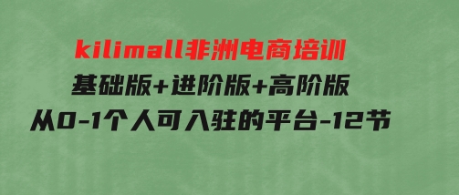 kilimall非洲电商培训，基础版+进阶版+高阶版从0-1个人可入驻的平台-12节-十一网创