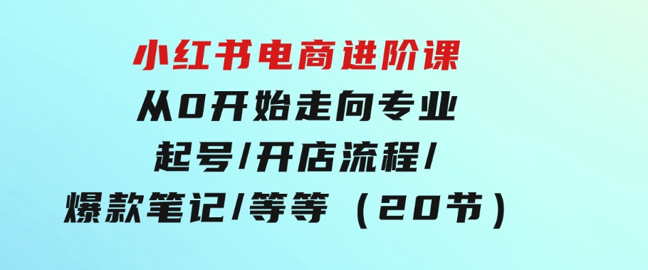 小红书电商进阶课：从0开始走向专业起号/开店流程/爆款笔记/等等（20节）-十一网创