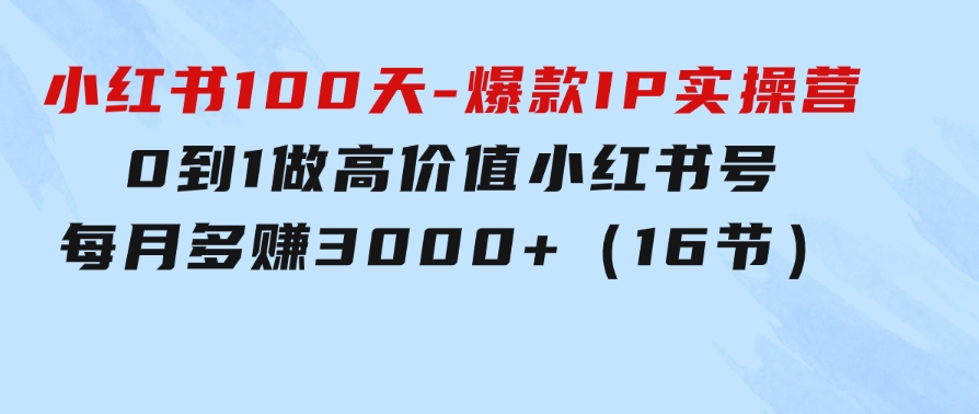 小红书100天-爆款IP实操营，0到1做高价值小红书号每月多赚3000+（16节）-十一网创