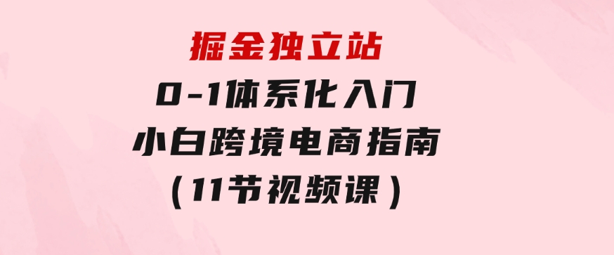 掘金独立站，0-1体系化入门，小白跨境电商指南（11节视频课）-十一网创