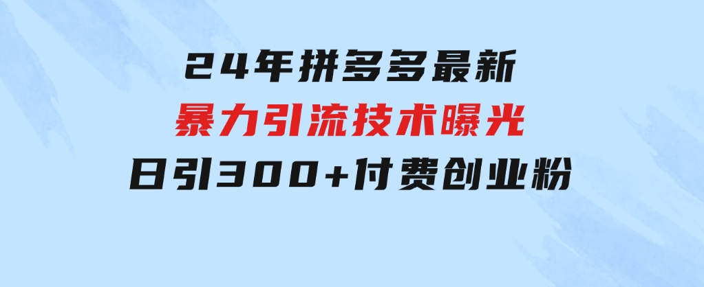 24年拼多多最新暴利引流技术曝光，日引300+付费创业粉，操作简单，流量…-十一网创