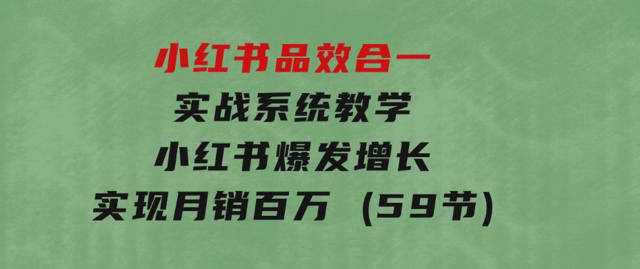 小红书品效合一实战系统教学：小红书爆发增长，实现月销百万(59节)-十一网创