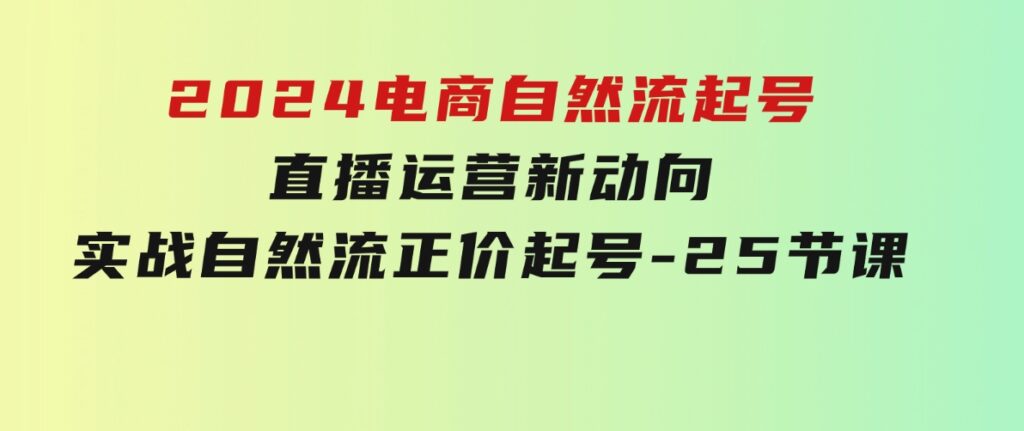 2024电商自然流起号，直播运营新动向实战自然流正价起号-25节课-十一网创