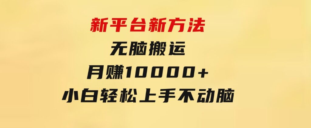 新平台新方法，无脑搬运，月赚10000+，小白轻松上手不动脑-十一网创