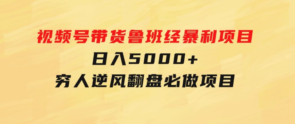 视频号带货鲁班经暴利项目，日入5000+，穷人逆风翻盘必做项目-十一网创