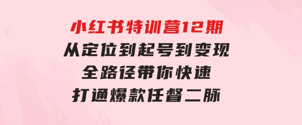 小红书特训营12期：从定位到起号、到变现全路径带你快速打通爆款任督二脉-十一网创