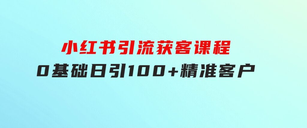 小红书引流获客课程：0基础日引100+精准客户-十一网创