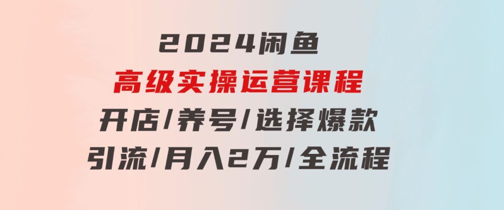 2024闲鱼高级实操运营课程：开店/养号/选择爆款/引流/月入2万/全流程-十一网创