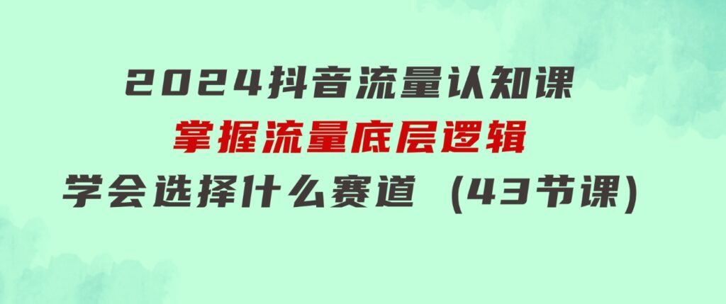 2024抖音流量·认知课：掌握流量底层逻辑，明白应该选择什么赛道(43节课)-十一网创