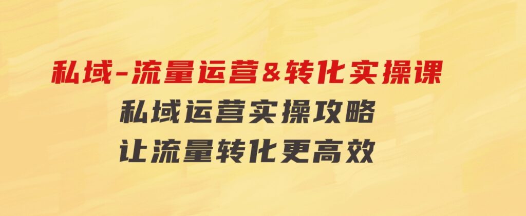 私域-流量运营&转化实操课：私域运营实操攻略让流量转化更高效-十一网创