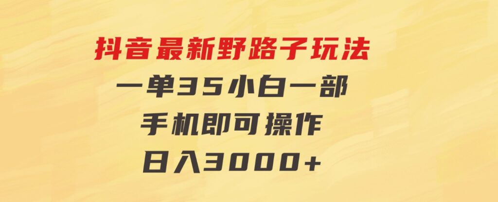 抖音最新野路子玩法，一单35，小白一部手机即可操作，，日入3000+-十一网创