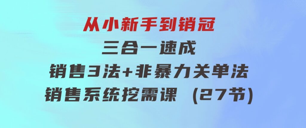 从小新手到销冠三合一速成：销售3法+非暴力关单法+销售系统挖需课(27节)-十一网创