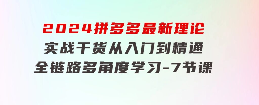 2024拼多多最新理论+实战干货，从入门到精通全链路多角度学习-7节课-十一网创