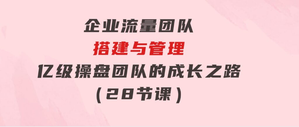 企业流量团队-搭建与管理，亿级操盘团队的成长之路（28节课）-十一网创