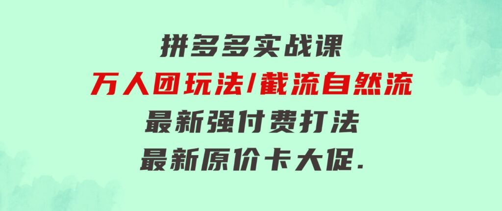 拼多多·实战课：万人团玩法/截流自然流/最新强付费打法/最新原价卡大促..-十一网创