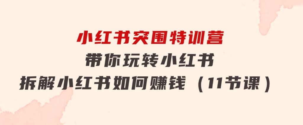 小红书突围特训营，带你玩转小红书，拆解小红书如何赚钱（11节课）-十一网创