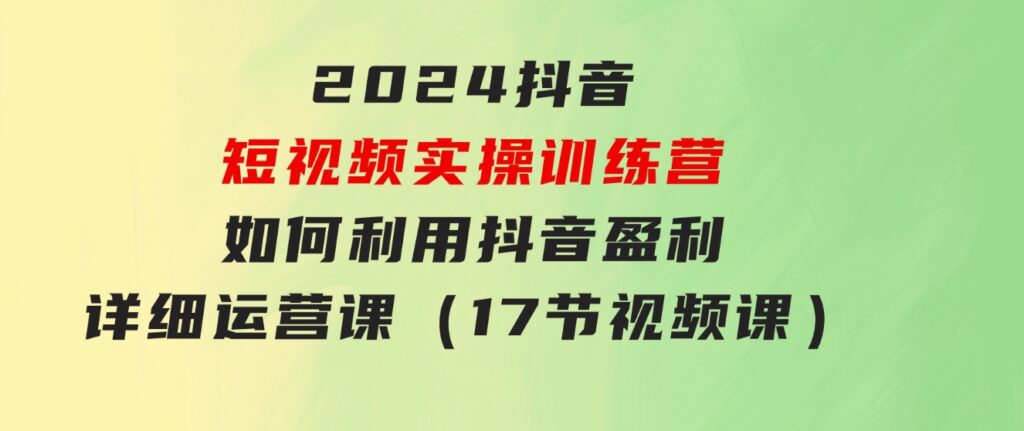 2024抖音短视频实操训练营：如何利用抖音盈利，详细运营课（17节视频课）-十一网创