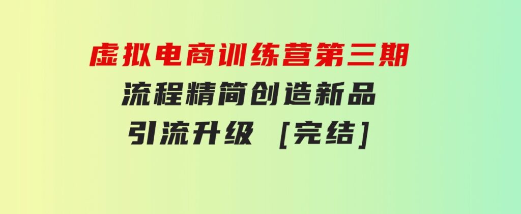 虚拟电商训练营第三期丨流程精简丨创造新品丨引流升级[完结]-十一网创