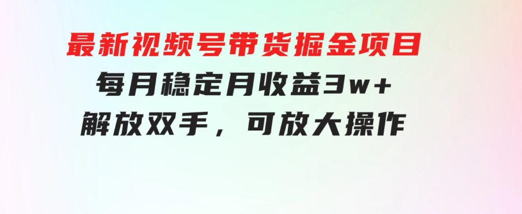 最新视频号带货掘金项目，每月稳定月收益3w+，解放双手，可放大操作-十一网创