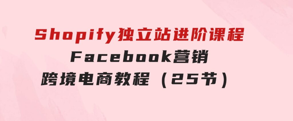 Shopify独立站-进阶课程-Facebook营销-跨境电商教程（25节）-十一网创