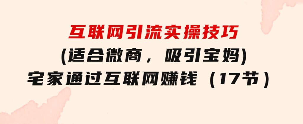 互联网引流实操技巧(适合微商，吸引宝妈)，宅家通过互联网赚钱（17节）-十一网创