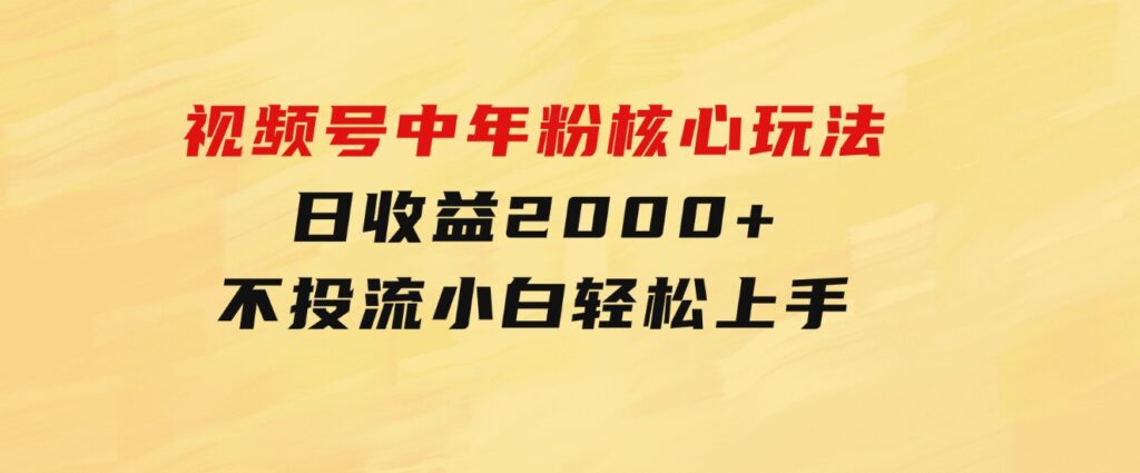 视频号中年粉核心玩法日收益2000+不投流小白轻松上手-十一网创