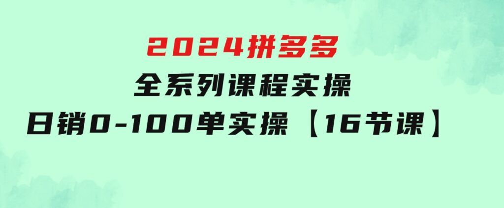 2024拼多多全系列课程实操，日销0-100单实操【16节课】-十一网创