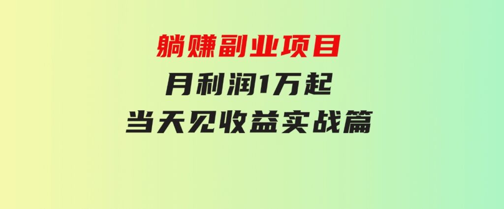 躺赚副业项目，月利润1万起，当天见收益，实战篇-十一网创