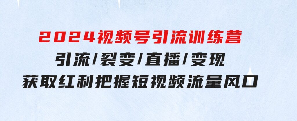 2024视频号引流训练营：引流/裂变/直播/变现获取红利把握短视频流量风口-十一网创