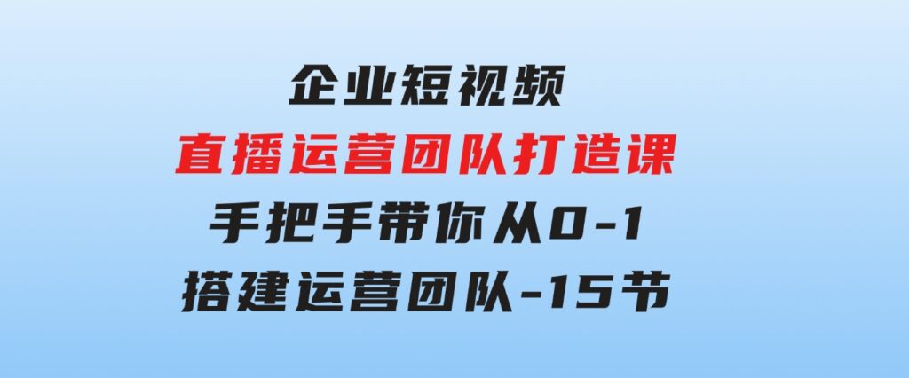 企业短视频-直播运营团队打造课，手把手带你从0-1搭建运营团队-15节-十一网创