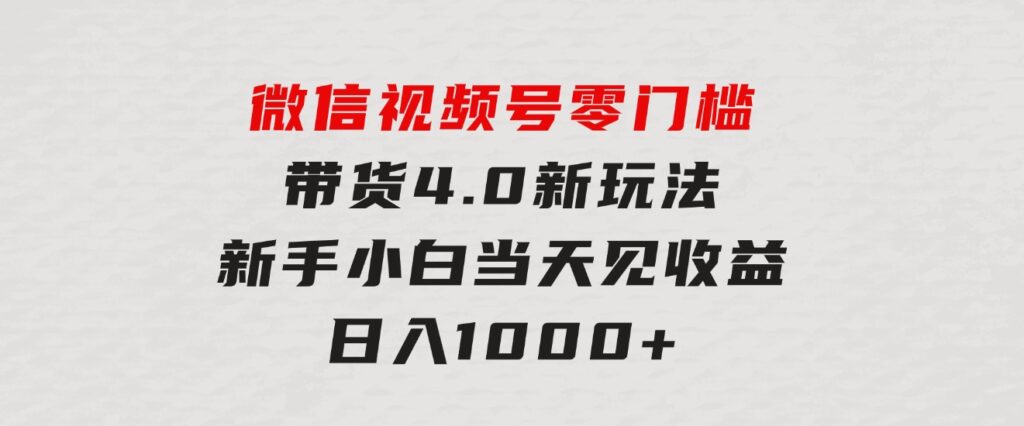 微信视频号零门槛带货4.0新玩法，新手小白当天见收益，日入1000+-十一网创