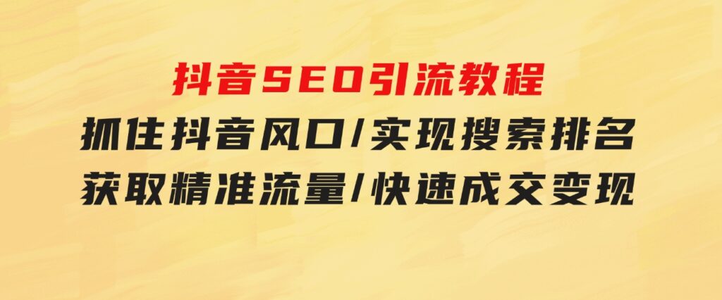 抖音SEO引流教程：抓住抖音风口/实现搜索排名/获取精准流量/快速成交变现-十一网创