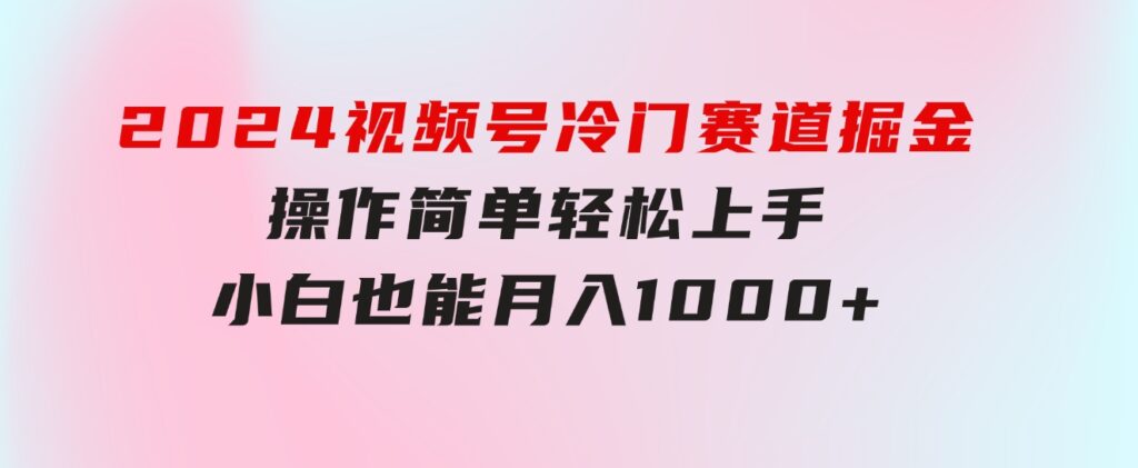 2024视频号冷门赛道掘金，操作简单轻松上手，小白也能月入1000+-十一网创