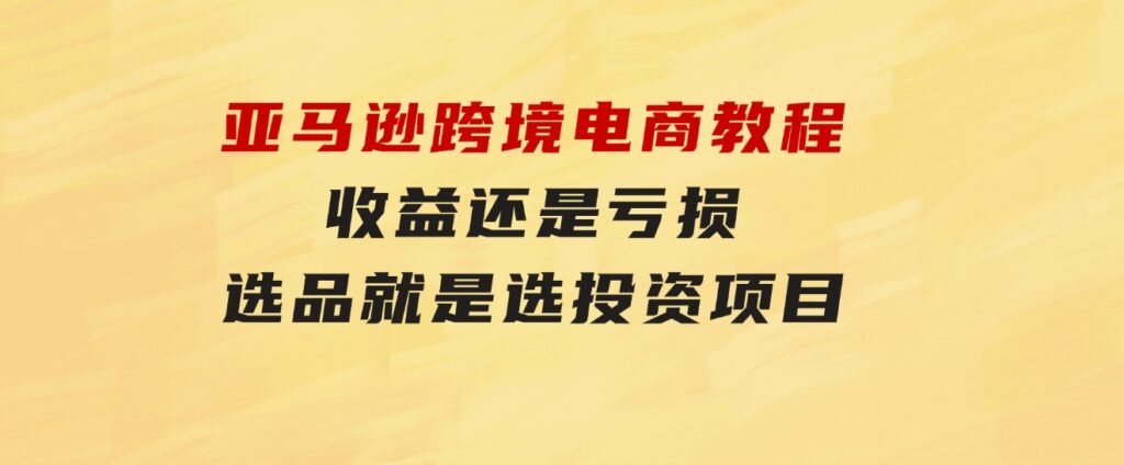 亚马逊跨境电商教程：收益还是亏损！选品就是选投资项目-十一网创