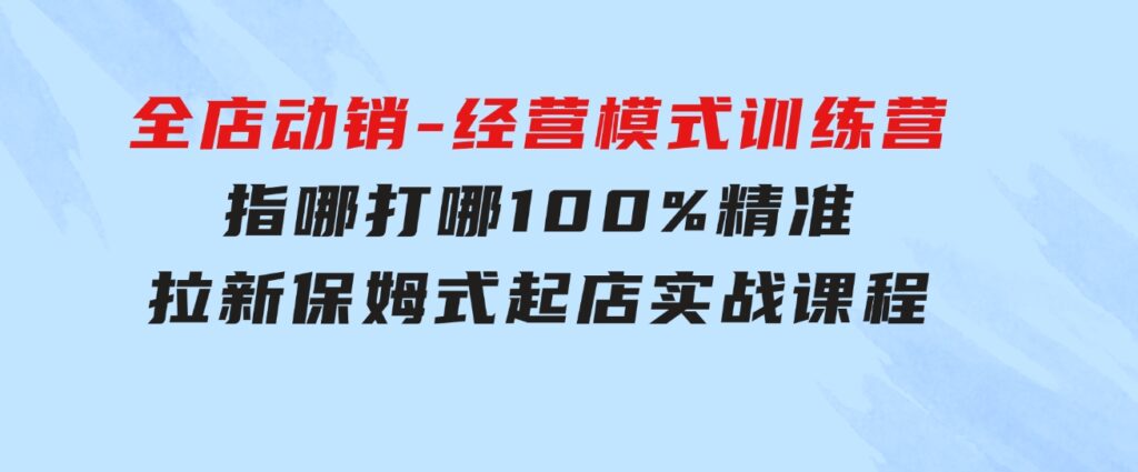 全店动销-经营模式训练营，指哪打哪100%精准拉新保姆式起店实战课程-十一网创