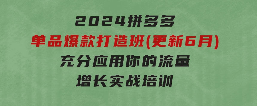 2024拼多多-单品爆款打造班(更新6月)，充分应用你的流量，增长实战培训-十一网创