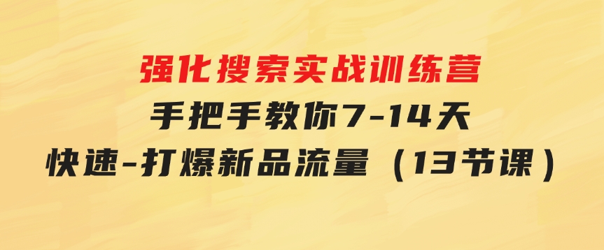 强化搜索实战训练营，手把手教你7-14天快速-打爆新品流量（13节课）-十一网创