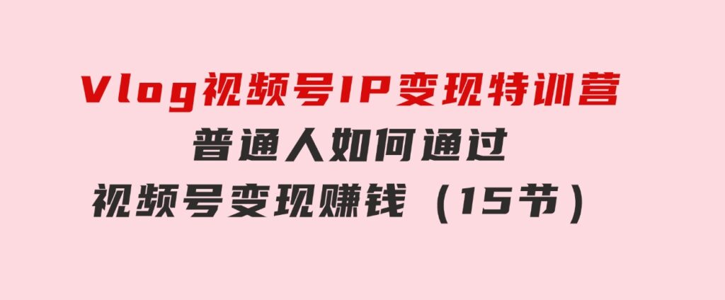 Vlog视频号IP变现特训营，普通人如何通过视频号变现赚钱（15节）-十一网创