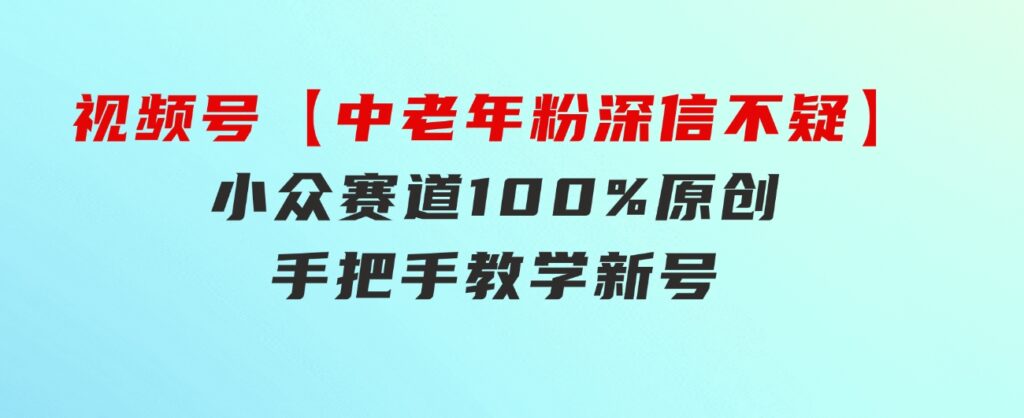 视频号【中老年粉深信不疑】小众赛道100%原创手把手教学新号3天收益…-十一网创