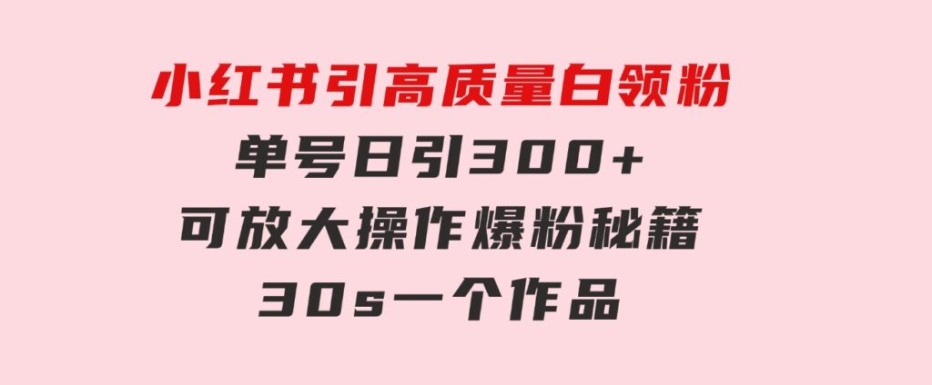 小红书引高质量白领粉，单号日引300+，可放大操作，爆粉秘籍！30s一个作品-十一网创