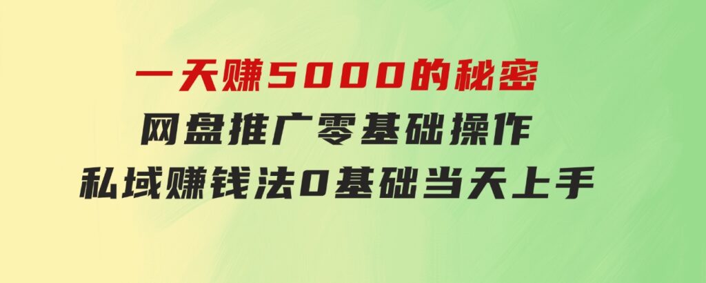 一天赚5000的秘密，网盘推广零基础操作，私域赚钱法，0基础当天上手-十一网创