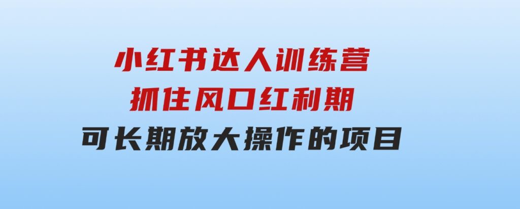 小红书达人训练营-第4期：抓住风口红利期，可长期，放大操作的项目-十一网创